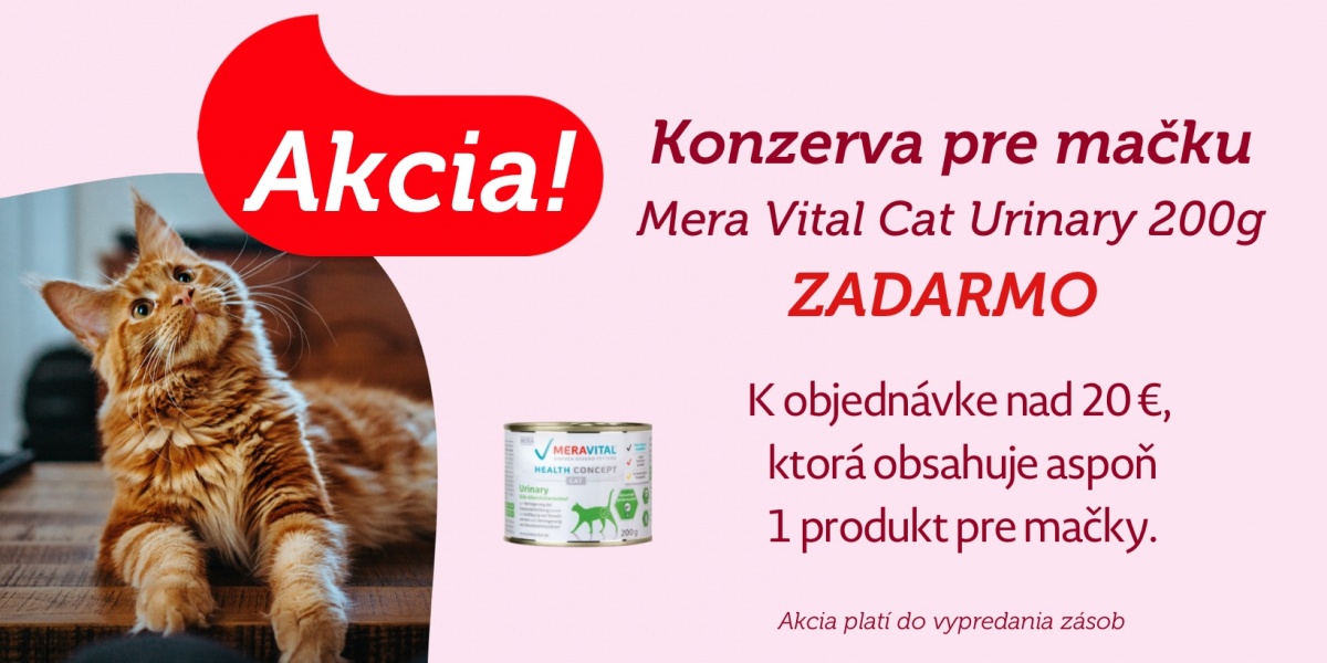 aktualita aktualita