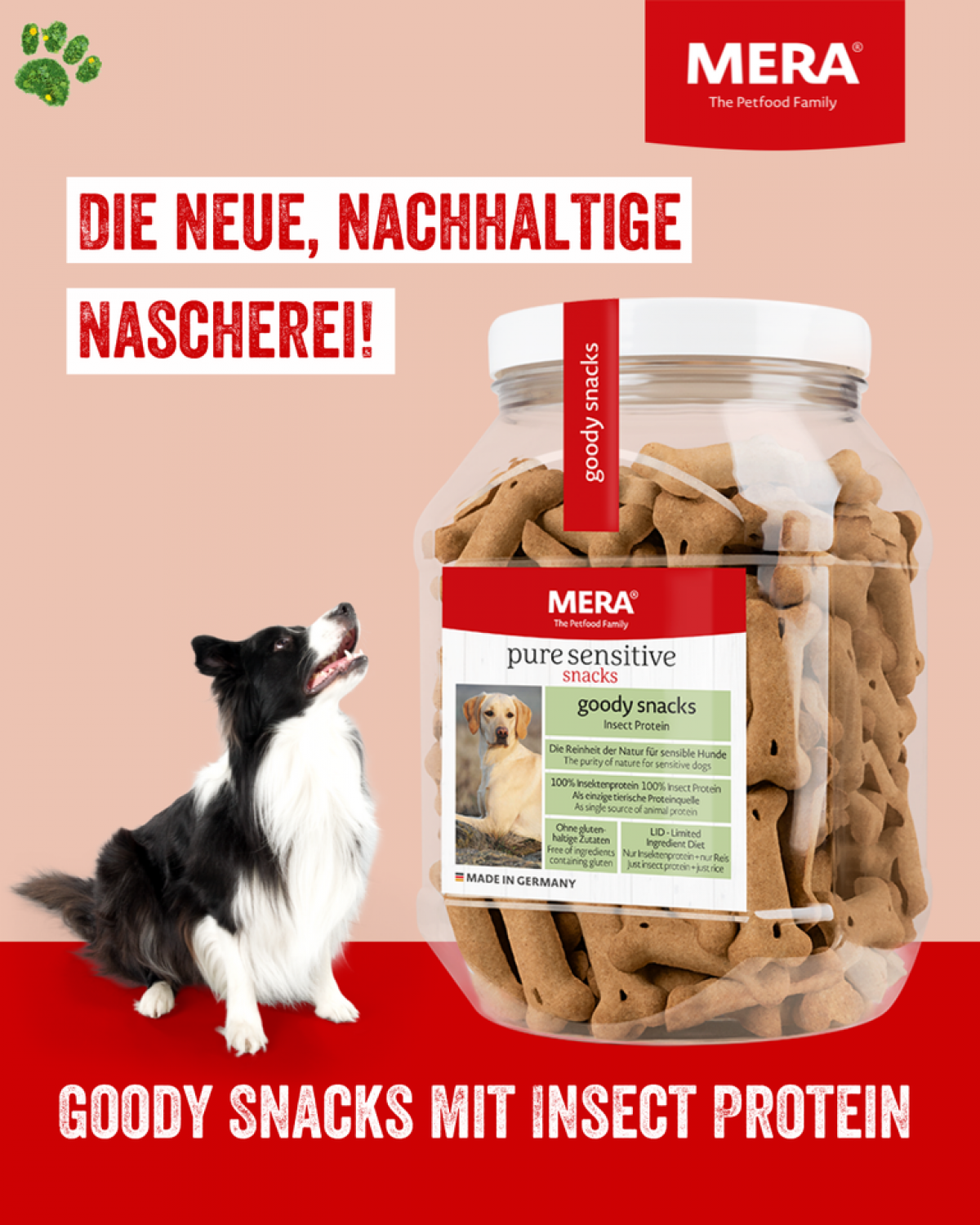 aktualita aktualita