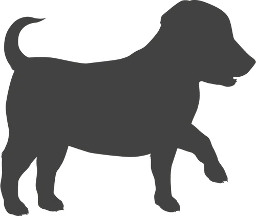 Dokonale prispôsobené potrebám juniorov