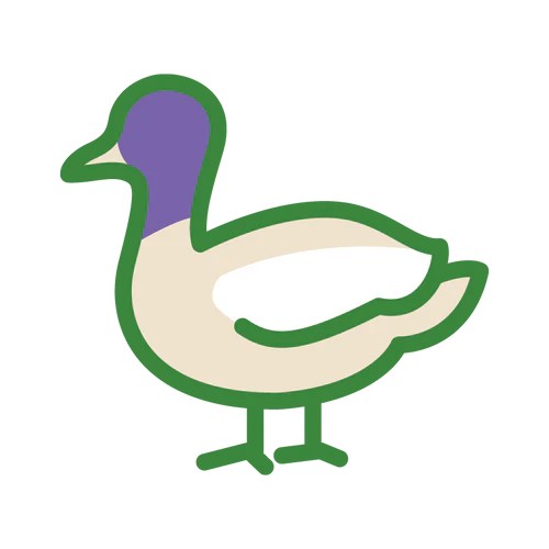 S veľkým množstvom čerstvého kačacieho mäsa