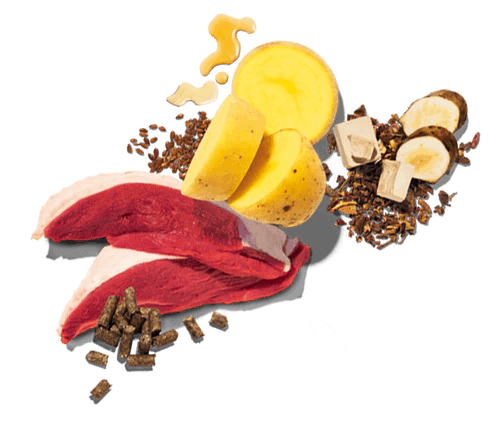 Ingredience Pure Sensitive Senior Ente&Karfoffel